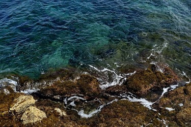 ARENELLA Fotografia di Giulio Azzarello ©2022.