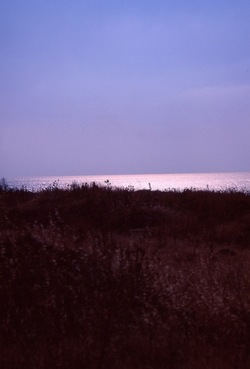 DIGITALIZZAZIONI fotografie di Giulio Azzarello &copy;2020.