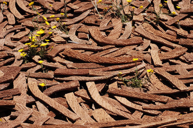 ARTE CONTEMPORANEA A PIRGI sito e riserva archeologica. Fotografie di Giulio Azzarello &copy;2014.