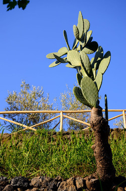 GOLE DELL ALCANTARA in Sicilia. Fotografie di Giulio Azzarello &copy;2016.