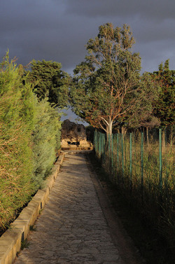 LUIGI PIRANDELLO il parco e la casa museo. Fotografie di Giulio Azzarello ©2014.