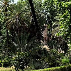 PALERMO. Fotografie di Giulio Azzarello &copy;2022.