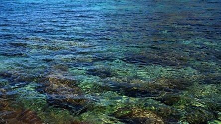 BAIA DEL CORALLO. Fotografie di Giulio Azzarello &copy;2022.