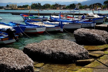 MONDELLO. Fotografie di Giulio Azzarello &copy;2023.
