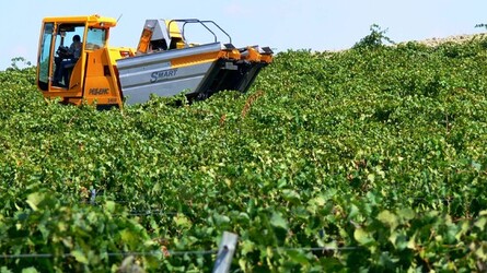 VIGNETO tipico siciliano a Salemi panoramiche e particolari. Fotografie di Giulio Azzarello &copy;2014.