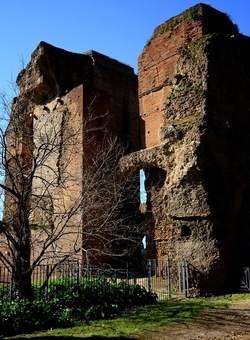 PARCO ARCHEOLOGICO DEL PALATINO Roma. Fotografie di Giulio Azzarello ©2020.
