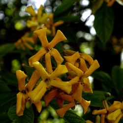 ORTO BOTANICO. Fotografie di Giulio Azzarello &copy;2024.