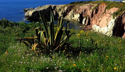 PAESAGGIO SICILIANO Terrasini. Fotografie di Giulio Azzarello &copy;2018.