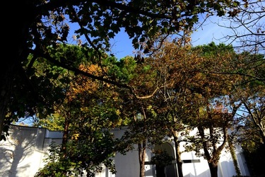 VENEZIA Giardini della Biennale di Arch. Cont.. Fotografie di Giulio Azzarello ©2022.