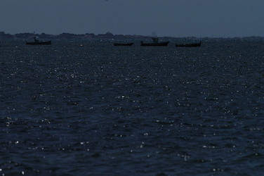WWF Sicilia le Saline di Trapani. Fotografie di Giulio Azzarello &copy;2014.
