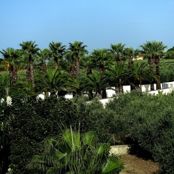 SELINUNTE. Fotografie di Giulio Azzarello ©2022. SELINUNTE. Fotografie di Giulio Azzarello ©2022.