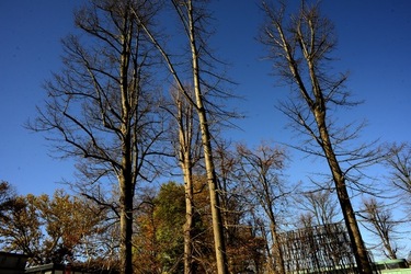 VENEZIA Giardini della Biennale di Arch. Cont.. Fotografie di Giulio Azzarello ©2022.