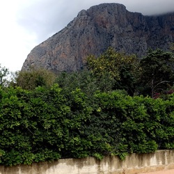 CAMMINANDO. Fotografie di Giulio Azzarello &copy;2024.