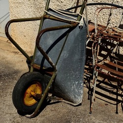 GIARDINO SICILIANO. Fotografie di Giulio Azzarello ©2022. GIARDINO SICILIANO. Fotografie di Giulio Azzarello ©2022.