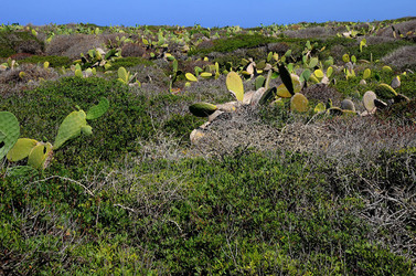 ISOLA DI LINOSA panoramiche e particolari. Fotografie di Giulio Azzarello &copy;2014.