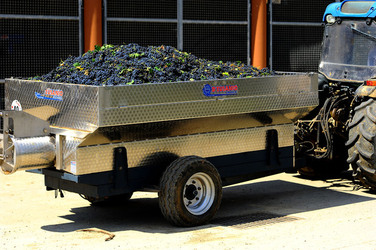 AZIENDA VITIVINICOLA in Sicilia. Fotografie di Giulio Azzarello ©2016. AZIENDA VITIVINICOLA in Sicilia. Fotografie di Giulio Azzarello ©2016.