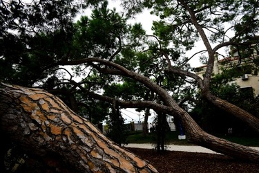 BIENNALE ARTI CONTEMPORANEE DI VENEZIA fotografie di Giulio Azzarello ©2020.