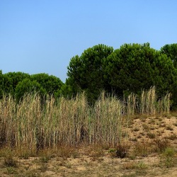 SELINUNTE. Fotografie di Giulio Azzarello ©2022. SELINUNTE. Fotografie di Giulio Azzarello ©2022.