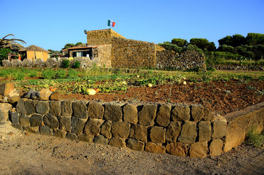 ISOLA DI USTICA pietre. Fotografie di Giulio Azzarello &copy;2016.