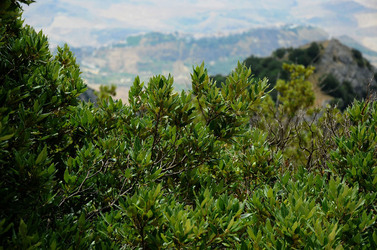 IL PARCO DELLE MADONIE da Polizzi Generosa in Sicilia. Fotografie di Giulio Azzarello &copy;2014.