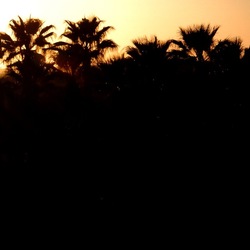 SELINUNTE. Fotografie di Giulio Azzarello ©2022. SELINUNTE. Fotografie di Giulio Azzarello ©2022.