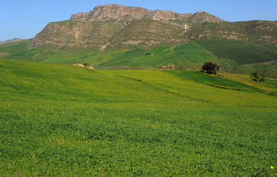 PAESAGGIO SICILIANO nel luogo delle macalube in Sicilia. Fotografie di Giulio Azzarello &copy;2014.