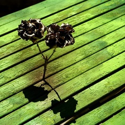 METALLICO. Fotografia di Giulio Azzarello &copy;2023.