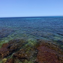 BAIA DEL CORALLO. Fotografie di Giulio Azzarello &copy;2022.
