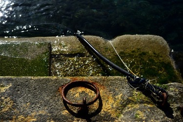 FEBBRAIO Fotografie di Giulio Azzarello &copy;2022.