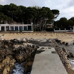 PINETA. Fotografie di Giulio Azzarello &copy;2022.