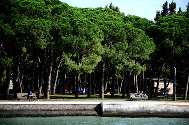 GIARDINI della BIENNALE a Venezia. Foto di Giulio Azzarello &copy;2015 2016.