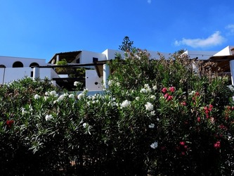 ISOLA di STROMBOLI fotografie di Giulio Azzarello &copy;2020.