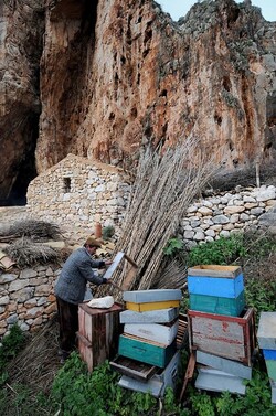 IL PRESEPE VIVENTE DI CUSTONACI in Sicilia. Fotografie di Giulio Azzarello ©2014. IL PRESEPE VIVENTE DI CUSTONACI in Sicilia. Fotografie di Giulio Azzarello ©2014.