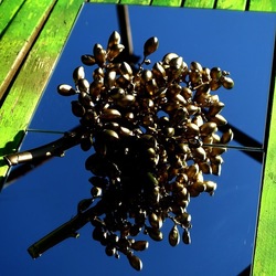 SPECCHIATI. Fotografia di Giulio Azzarello ©2023. SPECCHIATI. Fotografia di Giulio Azzarello ©2023.