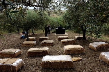 ULIVETO SICILIANO. Fotografie di Giulio Azzarello ©2022.