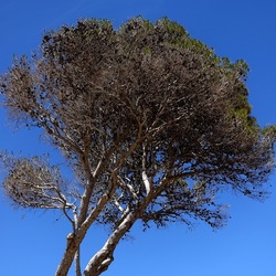 SEGESTA. Fotografie di Giulio Azzarello ©2024. SEGESTA. Fotografie di Giulio Azzarello ©2024.
