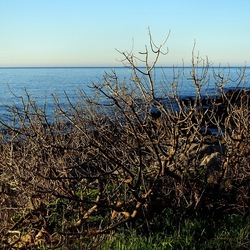 BARCARELLO. Fotografie di Giulio Azzarello &copy;2023.