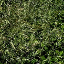 BAIA DEL CORALLO. Fotografie di Giulio Azzarello &copy;2022.