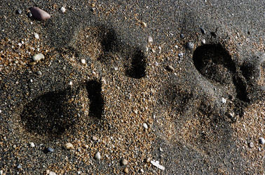 ARTE CONTEMPORANEA A PIRGI sito e riserva archeologica. Fotografie di Giulio Azzarello &copy;2014.