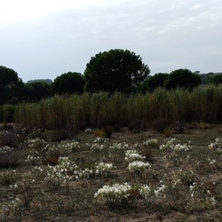 SELINUNTE. Fotografie di Giulio Azzarello ©2022. SELINUNTE. Fotografie di Giulio Azzarello ©2022.