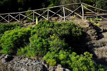 ISOLA DI USTICA il paese. Fotografie di Giulio Azzarello ©2016. ISOLA DI USTICA il paese. Fotografie di Giulio Azzarello ©2016.