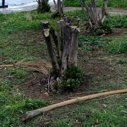 TRONCHI. Fotografie di Giulio Azzarello ©2022.