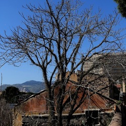 Arabo Normanno. Fotografie di Giulio Azzarello ©2024. Arabo Normanno. Fotografie di Giulio Azzarello ©2024.