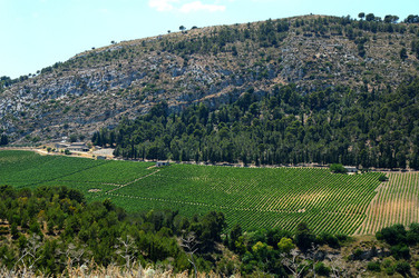 SEGESTA in Sicilia sito archeologico. Fotografie di Giulio Azzarello ©2014.