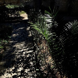 Arabo Normanno. Fotografie di Giulio Azzarello ©2024. Arabo Normanno. Fotografie di Giulio Azzarello ©2024.