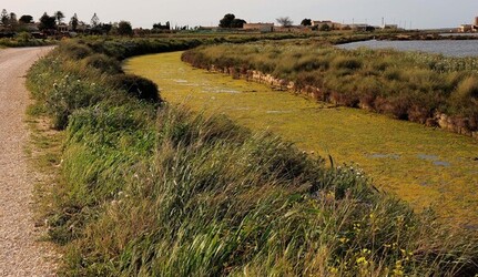 LE SALINE di Trapani in Sicilia. Fotografie di Giulio Azzarello ©2014. LE SALINE di Trapani in Sicilia. Fotografie di Giulio Azzarello ©2014.