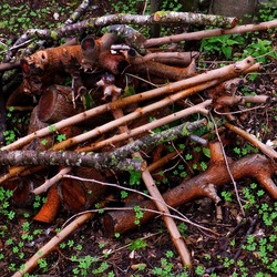 AUTUNNO fotografie di Giulio Azzarello ©2021. AUTUNNO fotografie di Giulio Azzarello ©2021.