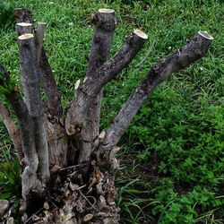 TRONCHI. Fotografie di Giulio Azzarello ©2022.