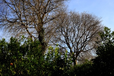 CAMPAGNA fotografie di Giulio Azzarello ©2020.