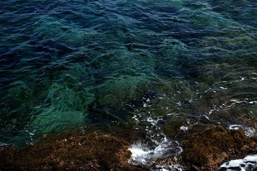 ARENELLA Fotografia di Giulio Azzarello ©2022.